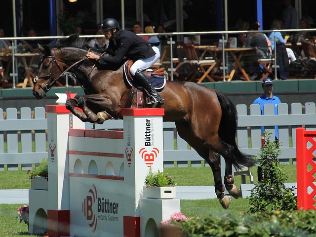 人的潜力 人的潜力