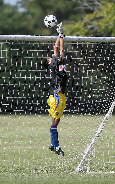 中立于不败 中立于不败