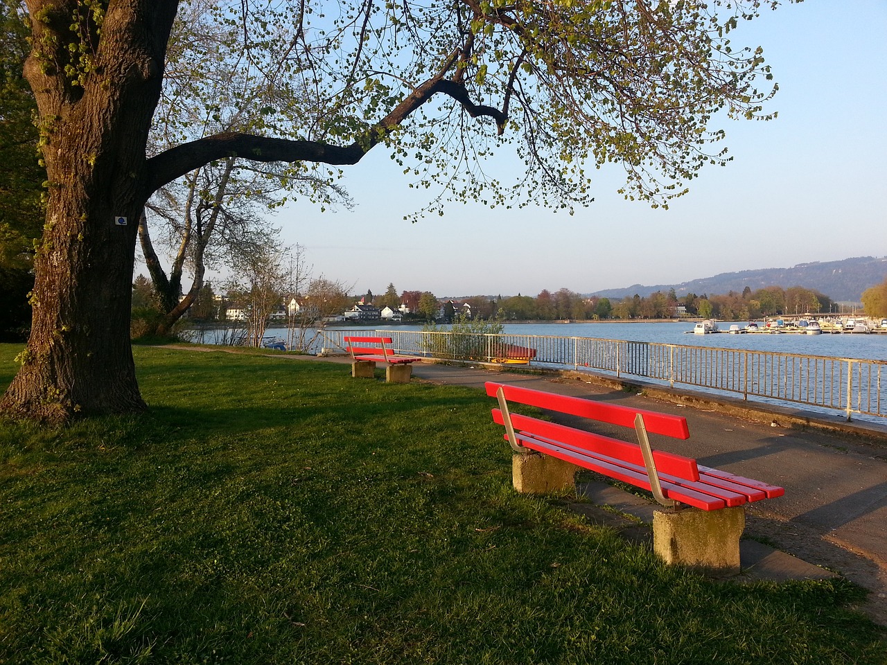 观众可以通 观众可以通