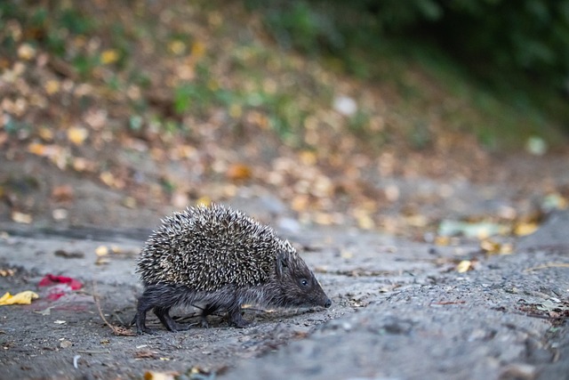 不断创新 不断创新