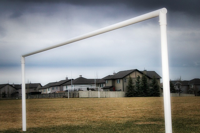 视本土球员 视本土球员