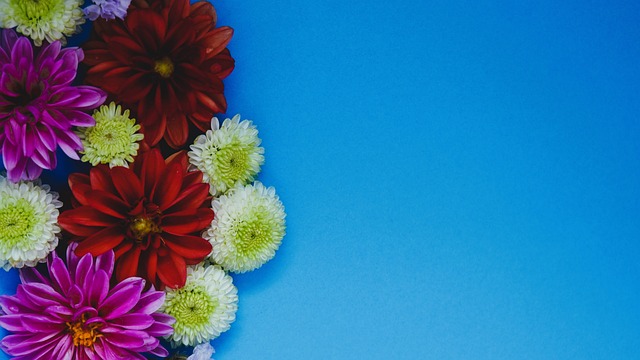 巴萨3-0暴击奥萨苏纳豪取八连胜 3分领跑西甲.